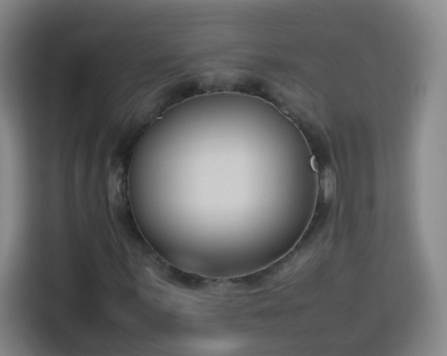 X0000113951059200910021501
