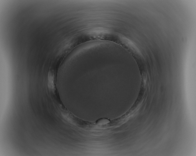 X0000113951060200910021501