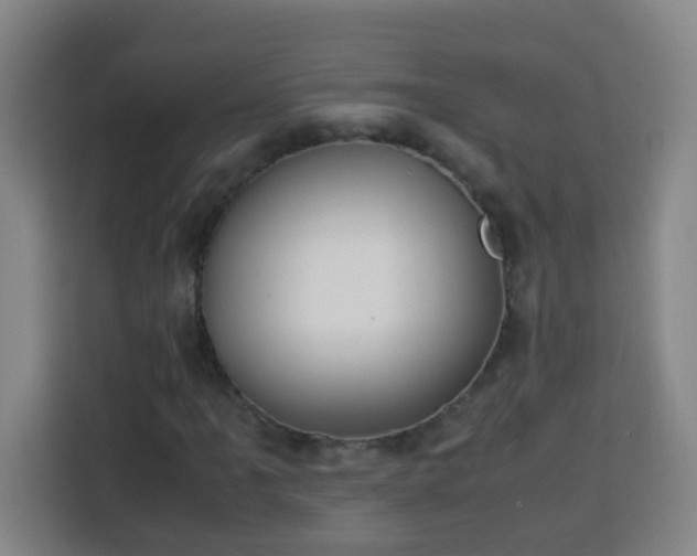X0000113951061200910021501
