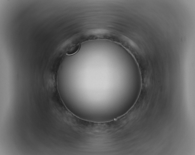 X0000113951062200910021501