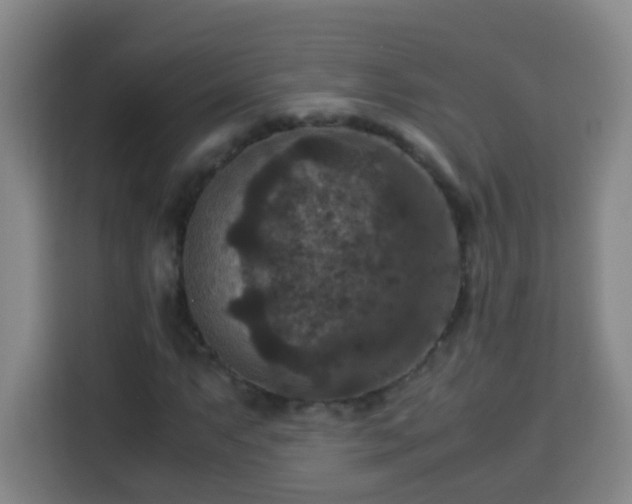 X0000113951063200910021501