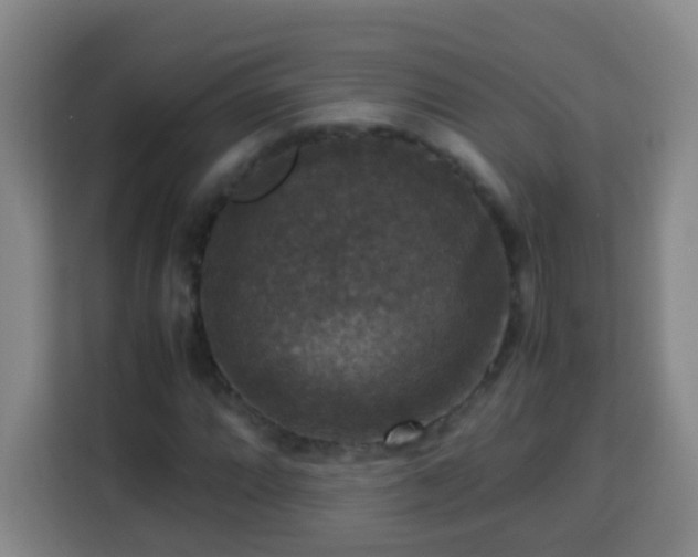 X0000113951064200910021501
