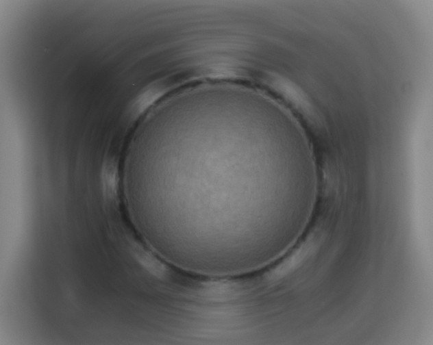 X0000113951065200910021501