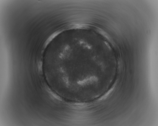 X0000113951066200910021501