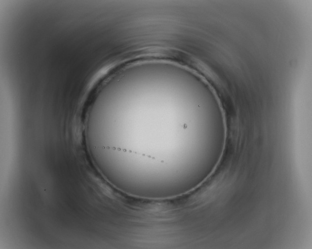 X0000113951067200910021501