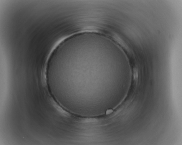 X0000113951068200910021501