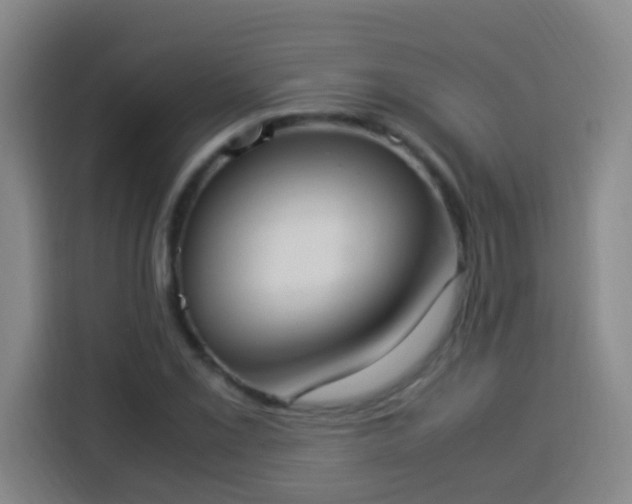 X0000113951069200910021501