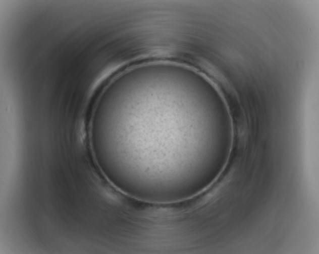 X0000113951070200910021501