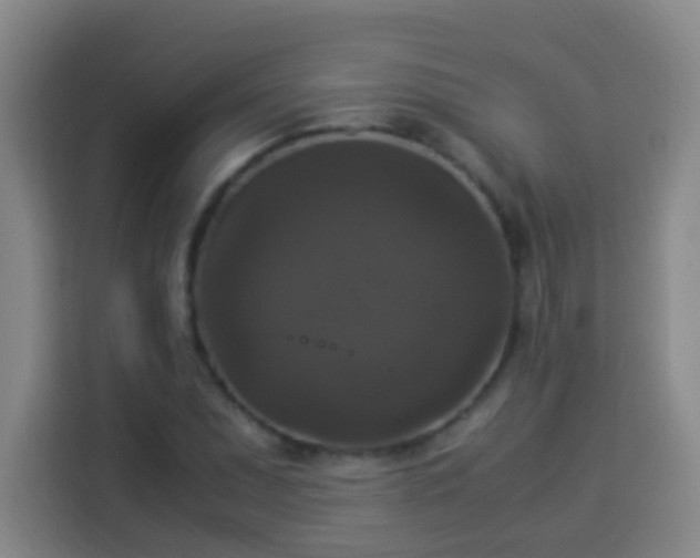 X0000113951071200910021501