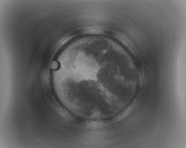 X0000113951074200910021501