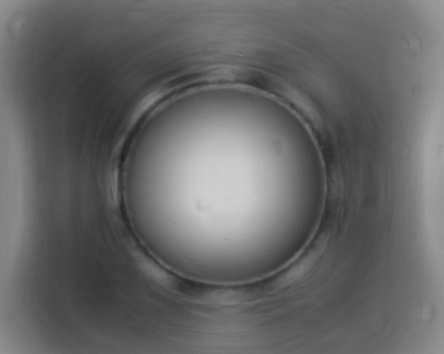 X0000113951075200910021501