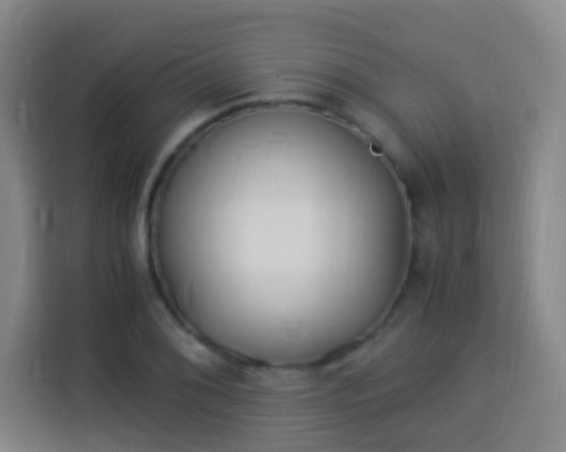 X0000113951076200910021501