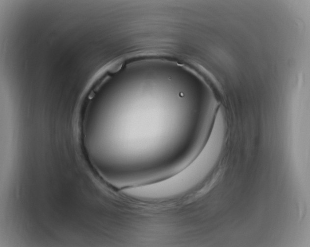 X0000113951077200910021501