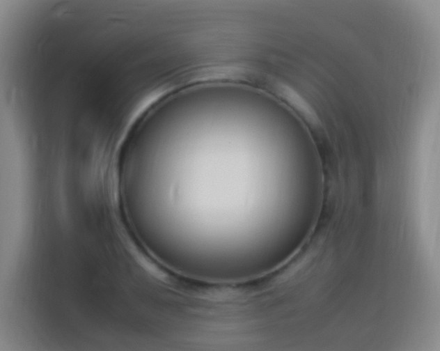 X0000113951079200910021501