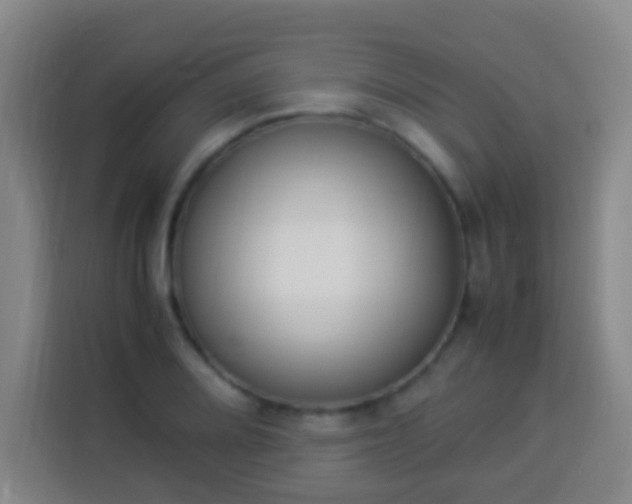 X0000113951080200910021501