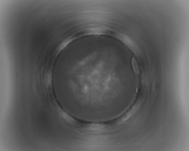 X0000113951081200910021501
