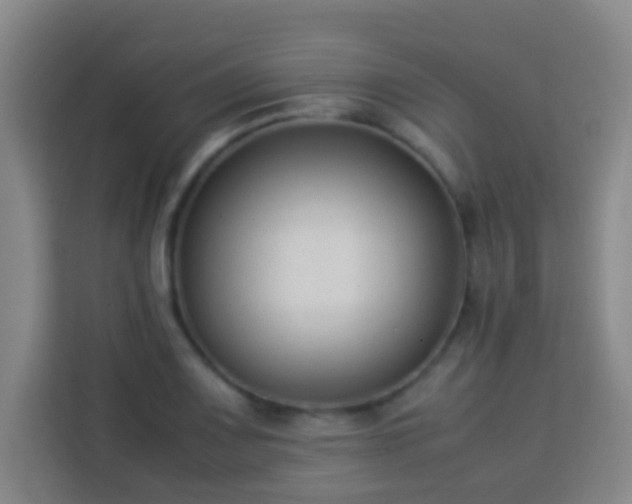 X0000113951083200910021501