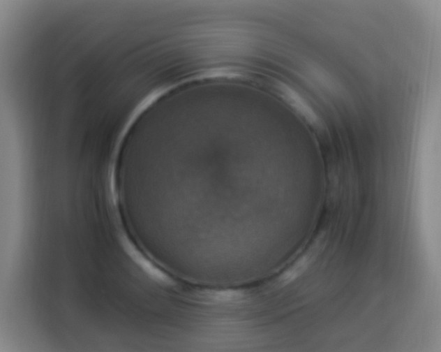 X0000113951084200910021501