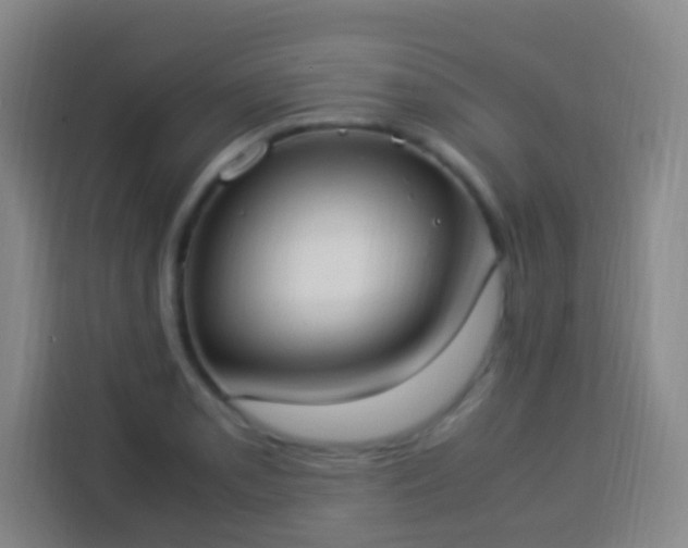 X0000113951085200910021501