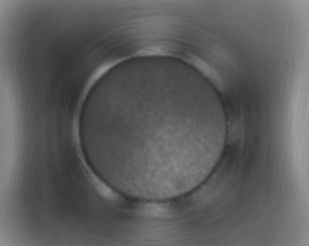 X0000113951086200910021501