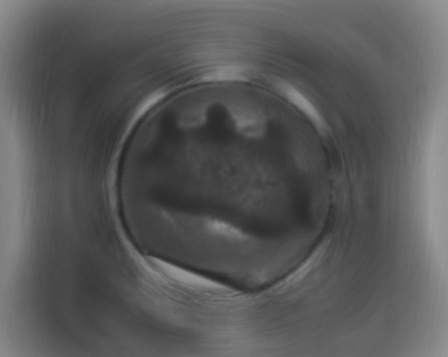 X0000113951087200910021501