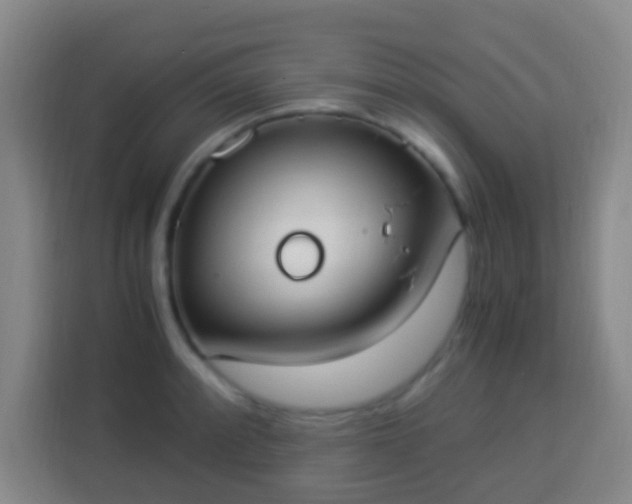 X0000113951088200910021501