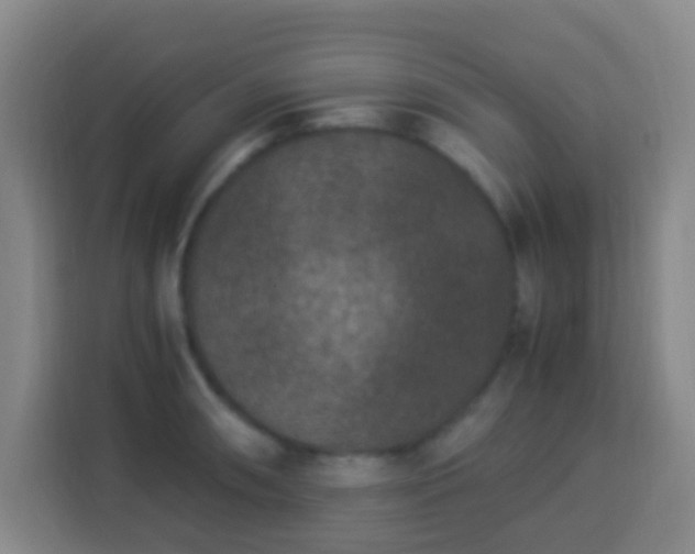X0000113951090200910021501