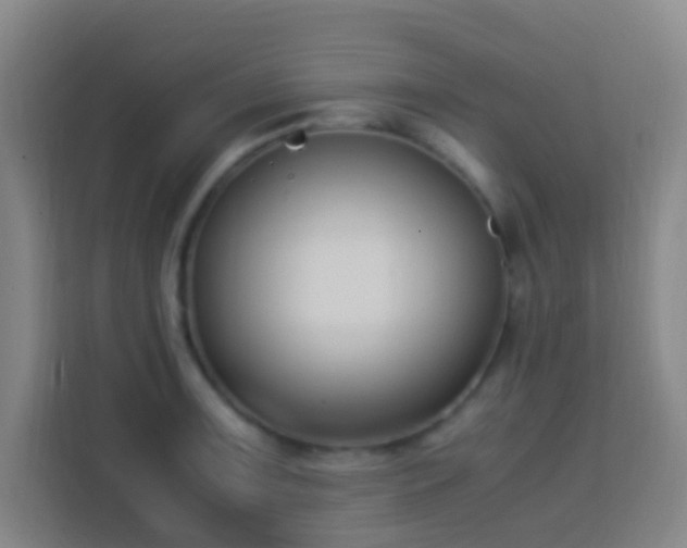 X0000113951091200910021501