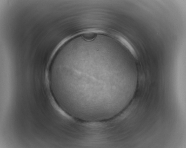 X0000113951092200910021501