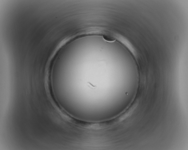 X0000113951093200910021501