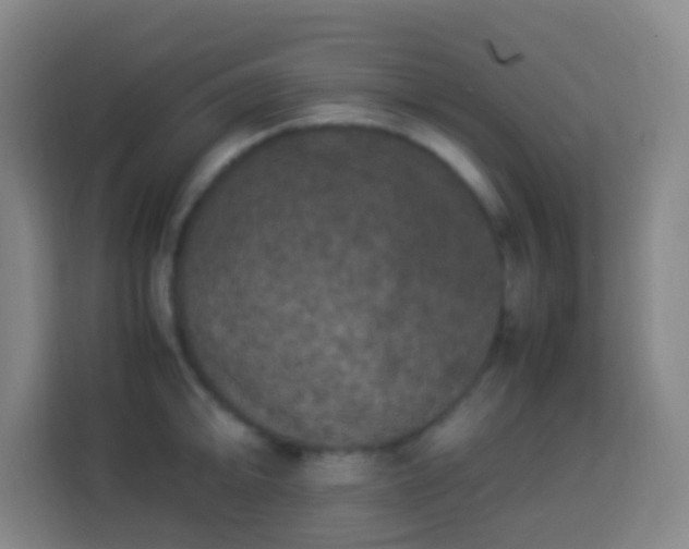 X0000113951094200910021501