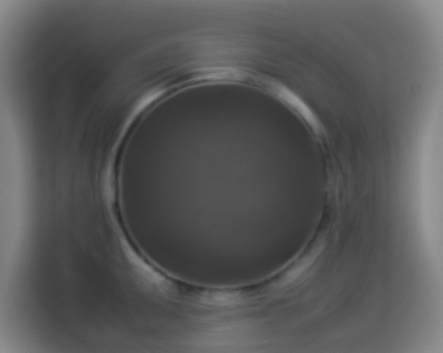 X0000113951095200910021501