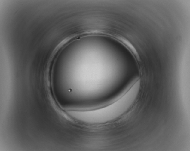 X0000113951096200910021501