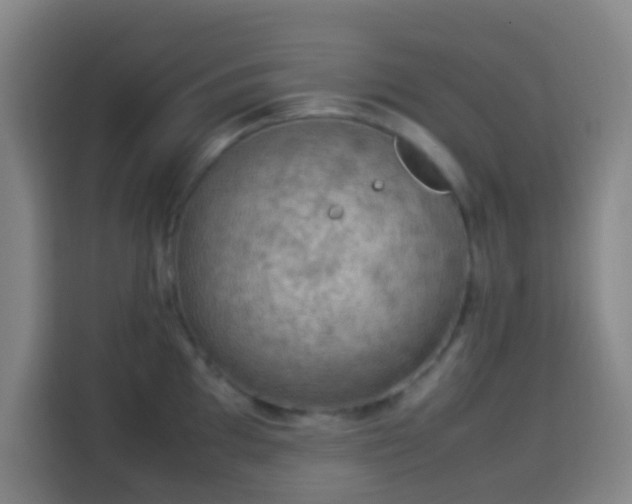 X0000113951097200910021501