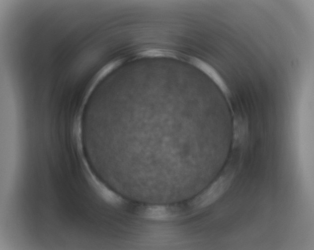 X0000113951098200910021501