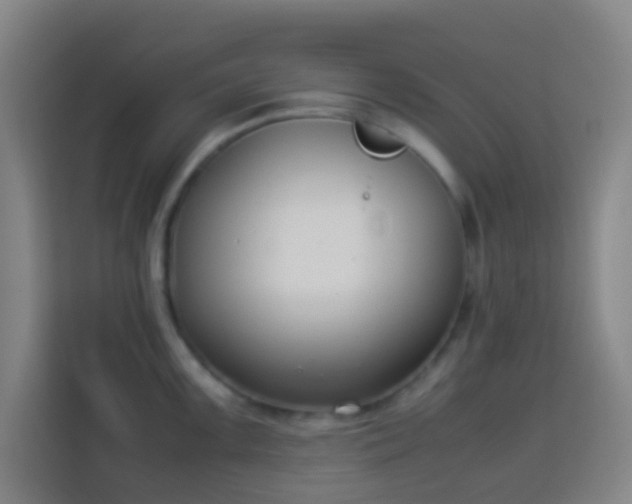X0000113951099200910021501