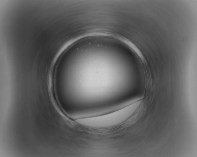 X0000113951101200910021501