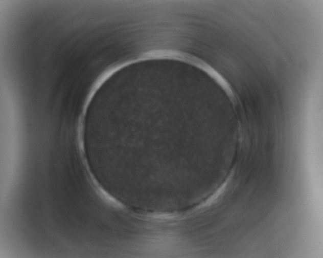 X0000113951102200910021501