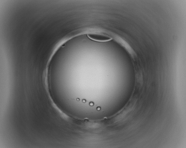X0000113951103200910021501