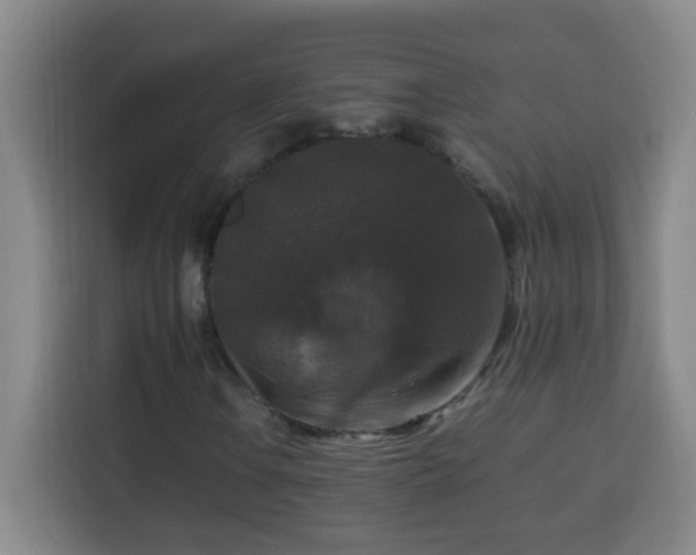 X0000113951106200910021500