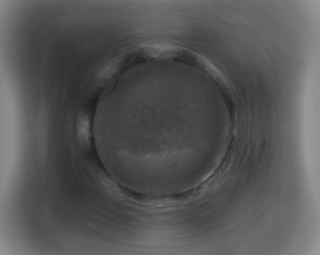 X0000113951108200910021500