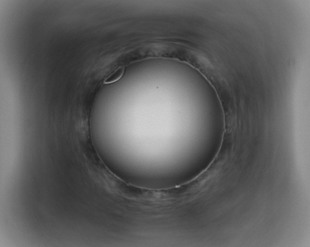 X0000113951109200910021500