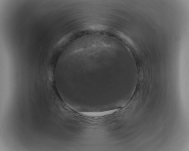 X0000113951110200910021500