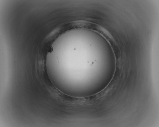 X0000113951111200910021500