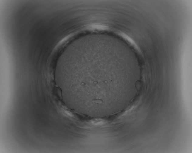 X0000113951112200910021500