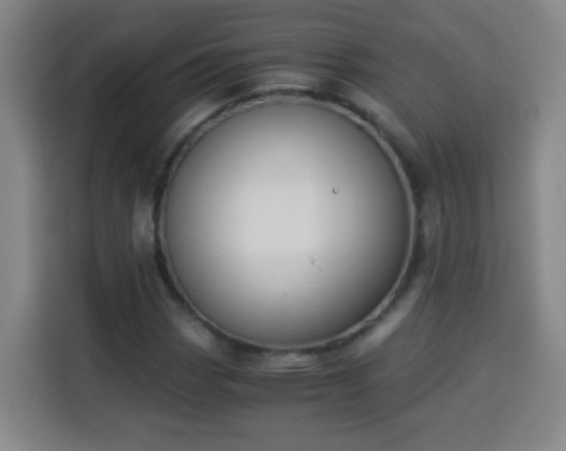 X0000113951113200910021500