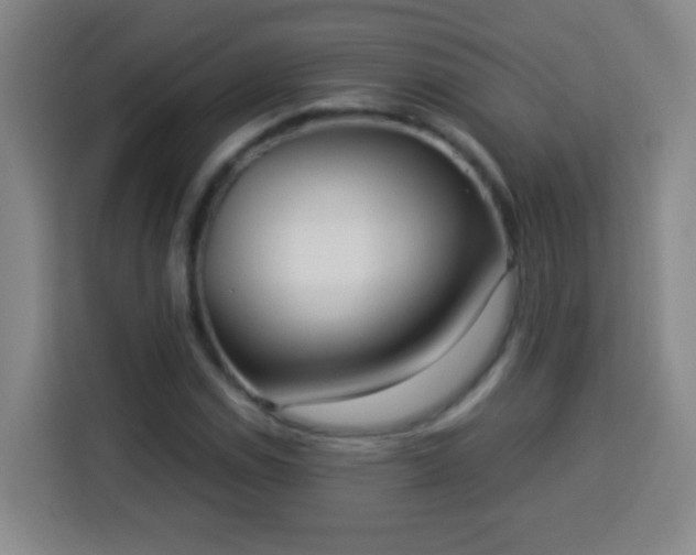 X0000113951114200910021500