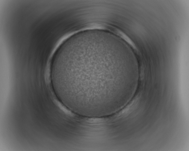 X0000113951116200910021500