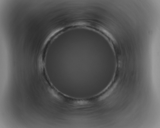 X0000113951117200910021500