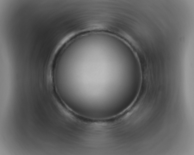 X0000113951118200910021500